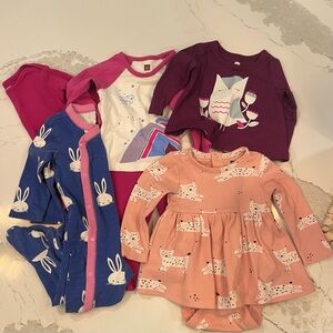 Tea Collection 3-6month Girls bundle
